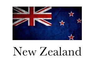 NZ logo